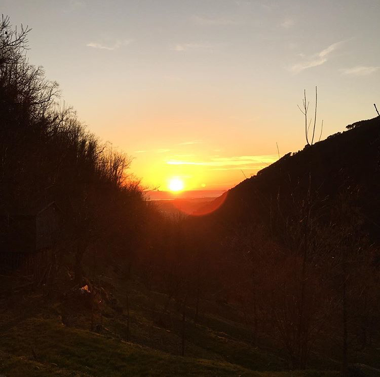 Saluto al Sole Yoga